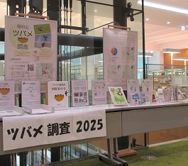 中央館「ツバメ」展示の様子