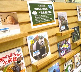 中央館6月『不思議な生き物』のテーマ展示の様子