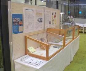 「ロビーで文化財『学校歴史資料と青い目の人形 小・中学校保管歴史資料悉皆調査より』」を開催している様子