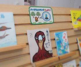 中央館5月『バードウォッチングをしよう!』のテーマ展示の様子