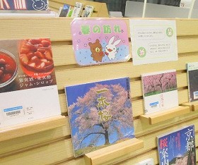 中央館4月『春の訪れ』のテーマ展示の様子