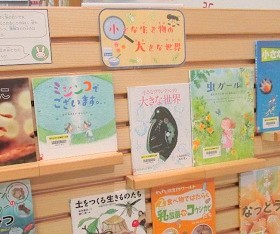 中央館6月『小さな生き物の大きな世界』のテーマ展示の様子