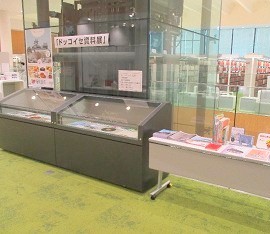 中央館「ドッコイセ資料展・近年の歩みパネル展」の写真