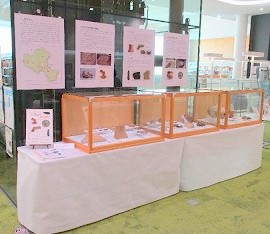 中央館「ロビーで文化財 福知山の弥生時代」展示の様子