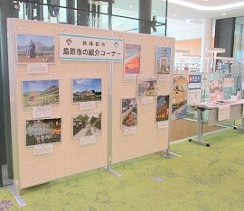 中央館で「姉妹都市・島原市パネル展」を開催している様子