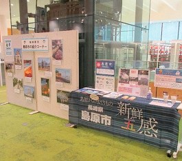 「姉妹都市島原パネル展」展示の様子