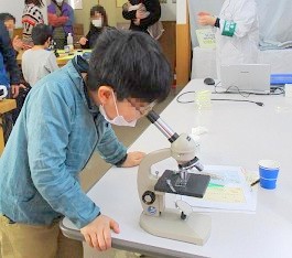 「わくわくスタディ!」で顕微鏡を使う参加者の様子