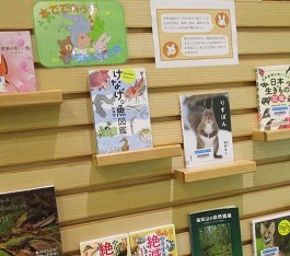 中央館6月『本でであう いろんな生き物』のテーマ展示の様子