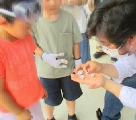 「わくわくスタディ! 鉱石編」の様子