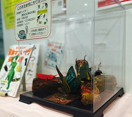 中央館「8月ミニ工作『虫』」展示の様子