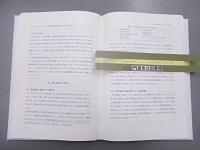 読書補助具（リーディングトラッカー）の画像