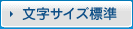 文字サイズ標準