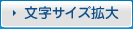文字サイズ拡大
