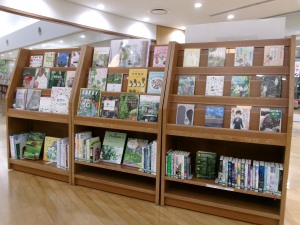 入口特集の写真